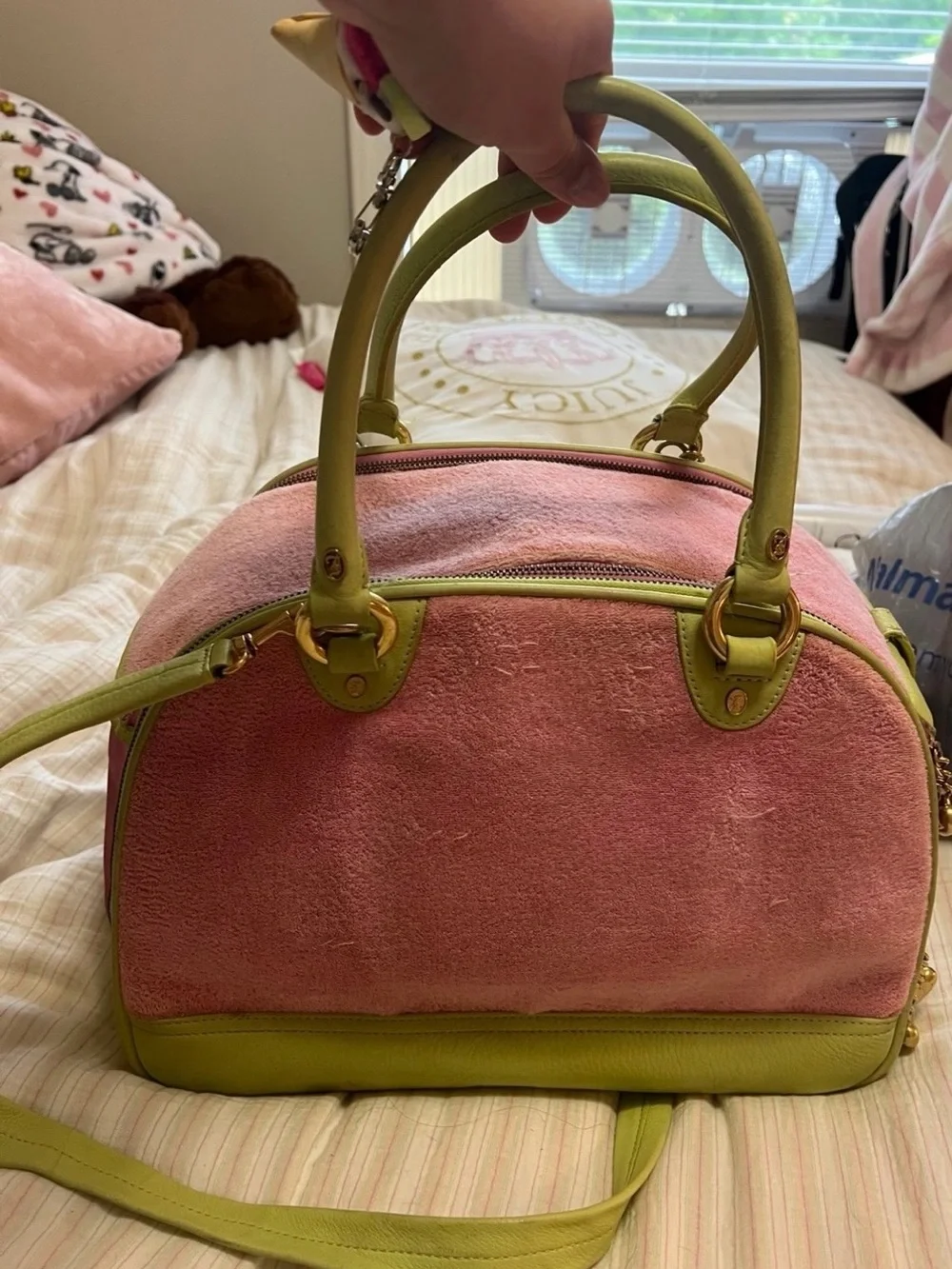 Vintage Juicy Couture pink and green Girl's Best Friend dog carrier